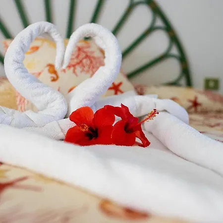 Il Complesso Saraceno 3*