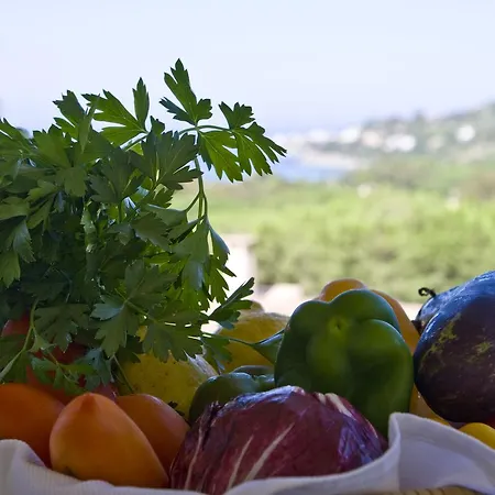 Il Complesso Saraceno 3*